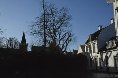 a tree in front of a white building with a church at 'Room Eleven' aan de Vecht in Vreeland