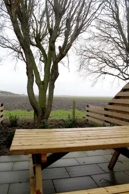 a wooden bench sitting in front of a tree at Landzicht in Woubrugge