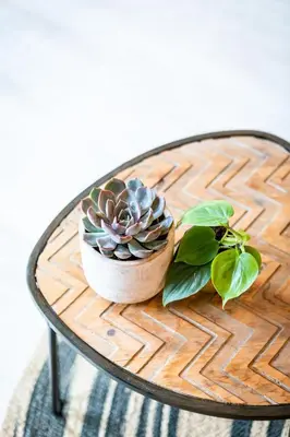 a plant in a pot on a table at Studio Puuur in Zandvoort