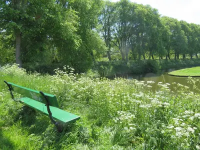 a green bench sitting in the grass next to a river at Holiday apartment with free parking Boven Jan Enkhuizen in Enkhuizen