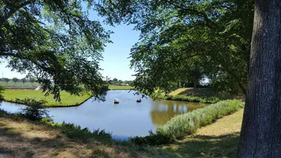 two ducks in a river with trees in the foreground at Holiday apartment with free parking Boven Jan Enkhuizen in Enkhuizen