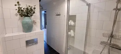 a bathroom with a glass shower with a vase of flowers at Casa de Deborah in Zandvoort