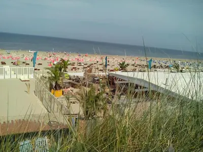 a beach with umbrellas and a crowd of people at Sunset Lodge in Zandvoort