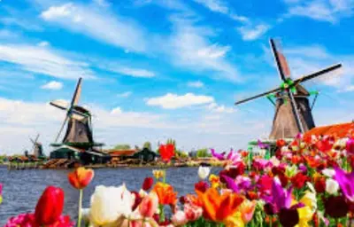 a field of flowers with windmills in the background at Huisje Finn, met grote tuin en veel privacy in Dirkshorn