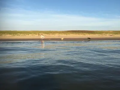 a person standing in the water at the beach at Duindoorn 45 in IJmuiden
