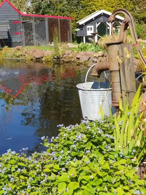 a garden with a pond with a bucket in it at Bed & breakfast FF rust in Kockengen