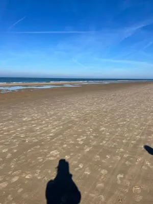 a shadow of a person taking a picture of the beach at Chalet peter in Limmen