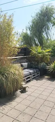 a cat walking through a garden with a bench at House close to beach and city in Hoorn