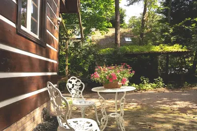 two chairs and a table with flowers on a patio at 't Eekhoornnest in Soest