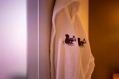 a towel hanging on a door with a monkey on it at 't Eekhoornnest in Soest