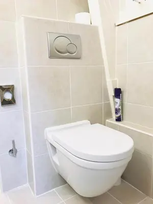 a bathroom with a white toilet and a tub at Little Tulip in Amsterdam
