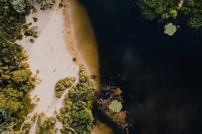 an overhead view of a river with trees and water at Studio the Dunes in Zandvoort