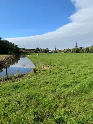 a grassy field with a pond in the middle at Parkhotel Abcoude in Abcoude