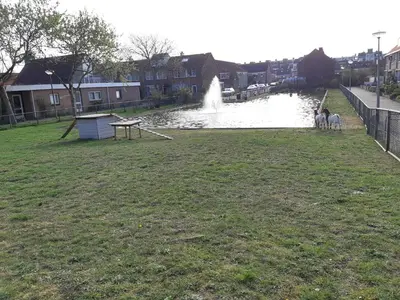 a pond with a fountain and two horses in a field at Zomerhuis Simoons in Egmond aan Zee
