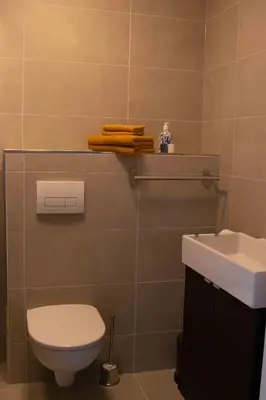 a bathroom with a toilet and a sink at B&B De Hoffstal in Sassenheim