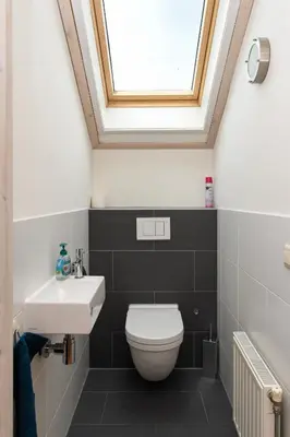 a bathroom with a toilet and a sink and a skylight at The Black House - Luxurious Holiday Villa Zeewolde in Zeewolde