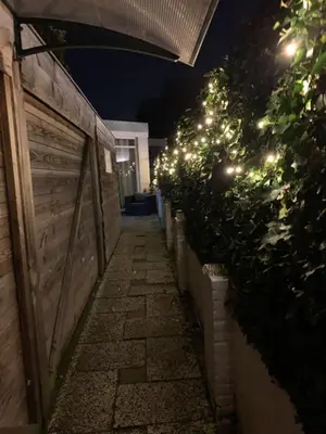 an alley with a row of bushes with lights at Queens Romantic Beachhouse in Zandvoort