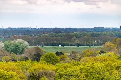 a view of a field with trees in the background at Klein Heemshof - Noord Holland aan uw voeten in Warmenhuizen
