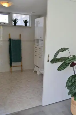 a bathroom with white cabinets and a potted plant at Studio 38 in Zandvoort