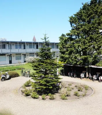 a pine tree in front of a building at Kuta Beach in Zandvoort
