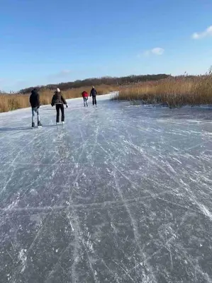 a group of people skating on the ice at Vakantiehuis aan het water in Vinkeveen