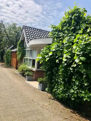 a house with a large hedge in front of it at Prins Heerlijk in Sassenheim