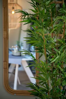 a mirror with a green plant in front of a table at Beach Bungalow Ohana - private garden - close to local Lake, Dunes and Beach in Noordwijkerhout