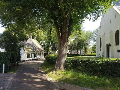 a tree on the side of a street next to a white building at Farmhouse in Groet near sea and forest in Groet