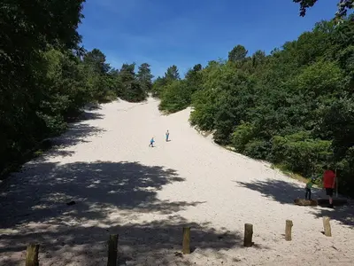 a group of people walking on a sandy beach at Farmhouse in Groet near sea and forest in Groet