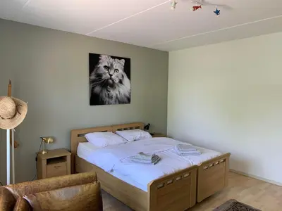 a bedroom with a bed with a picture of a cat at Apartments Zaanse Schans and Amsterdam in Wormer