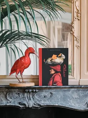 a book and a bird on a shelf with a book at Eco Hotel Plantage Rococo in Velsen-Zuid