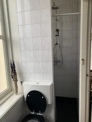 a white bathroom with a toilet and a shower at B&B 't Raethuys in Dirkshorn