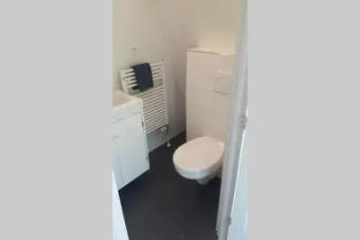 a bathroom with a white toilet and a sink at bij San & Ka in Hauwert