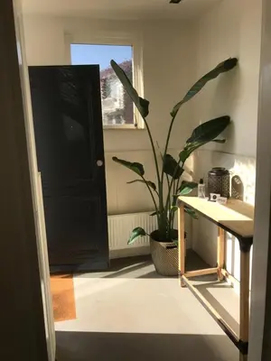 a plant in a room with a table and a window at Long Beach Rooms Zandvoort in Zandvoort