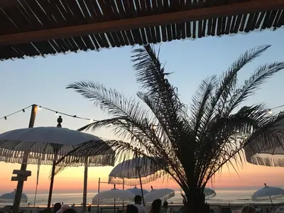 a palm tree in front of a beach with umbrellas at Long Beach Rooms Zandvoort in Zandvoort