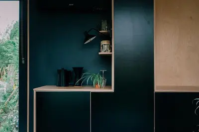 a green wall with a shelf with a plant on it at Zwier, de Vrijhaven in Vinkeveen
