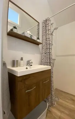 a bathroom with a sink and a mirror at Het Krabbehuisje in Zandvoort