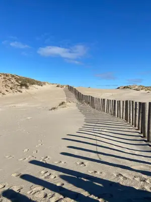 a fence in the sand in the desert at Het Krabbehuisje in Zandvoort