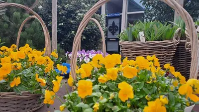 two baskets filled with flowers in a garden at Fleurdelis in Lisse