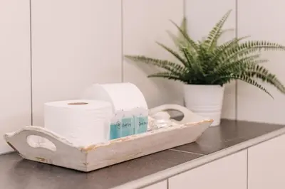 a bathroom counter with toilet paper and a plant at De Jutter - Zandvoort Free Parking in Zandvoort