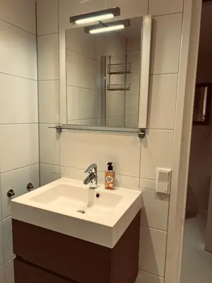 a bathroom with a sink and a mirror at Tulpenhoek in Akersloot