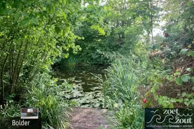 a stream in a garden with trees and plants at Wellness Bungalow Bolder 5p Amsterdam and the beach in Opmeer
