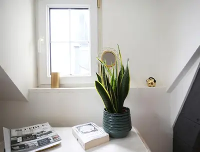 a plant in a vase on a table next to a window at Appartementen Purmerend B in Purmerend