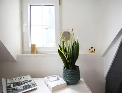 a plant in a vase on a table next to a window at Appartementen Purmerend B in Purmerend