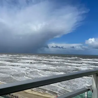 The wave