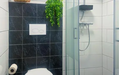 a bathroom with a shower with a toilet and a plant at Pet Friendly Home In Egmond Aan Zee in Egmond aan Zee