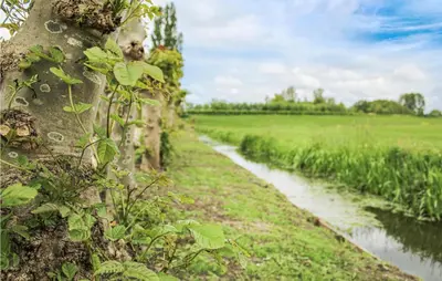 a dirt road next to a field and a river at Huis Nr 1 in Woubrugge
