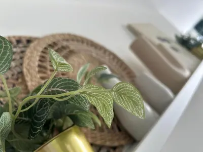 a plant in a basket next to a sink at B&B Zunderdorp in Amsterdam