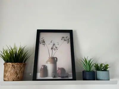 a picture of a vase on a shelf with plants at B&B Zunderdorp in Amsterdam