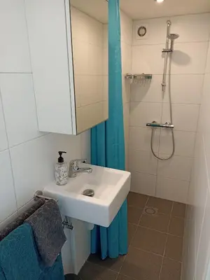 a bathroom with a sink and a shower at Little Beach Place in Zandvoort